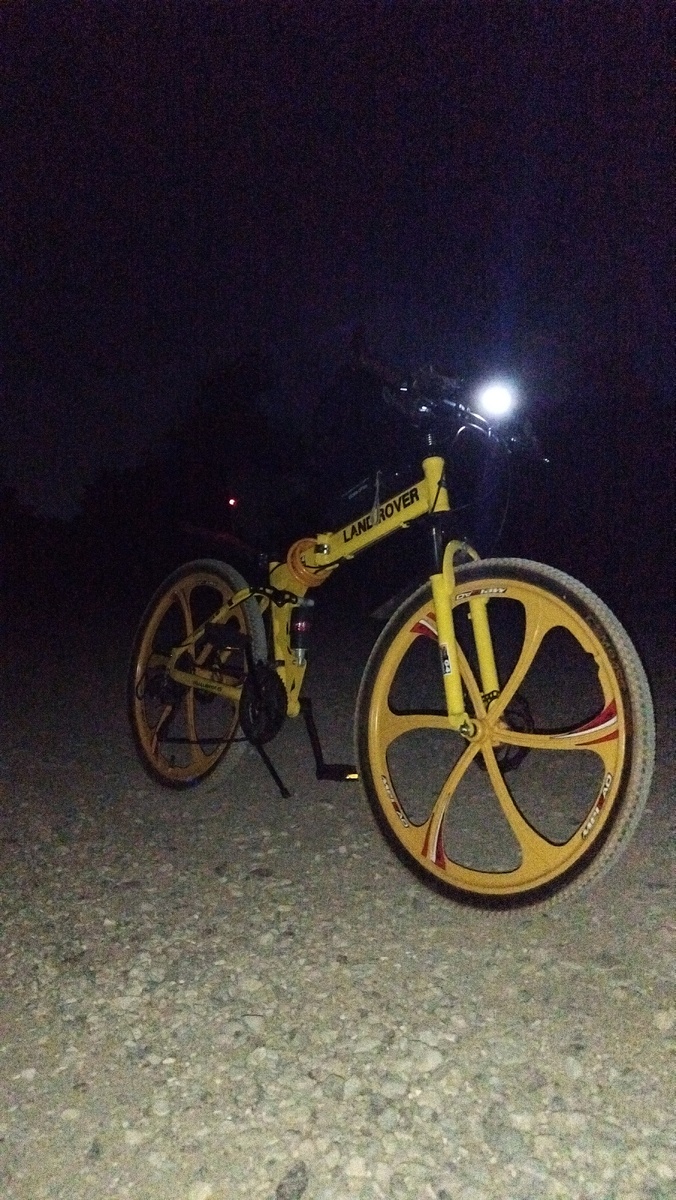 Мой Бамбелби🤩