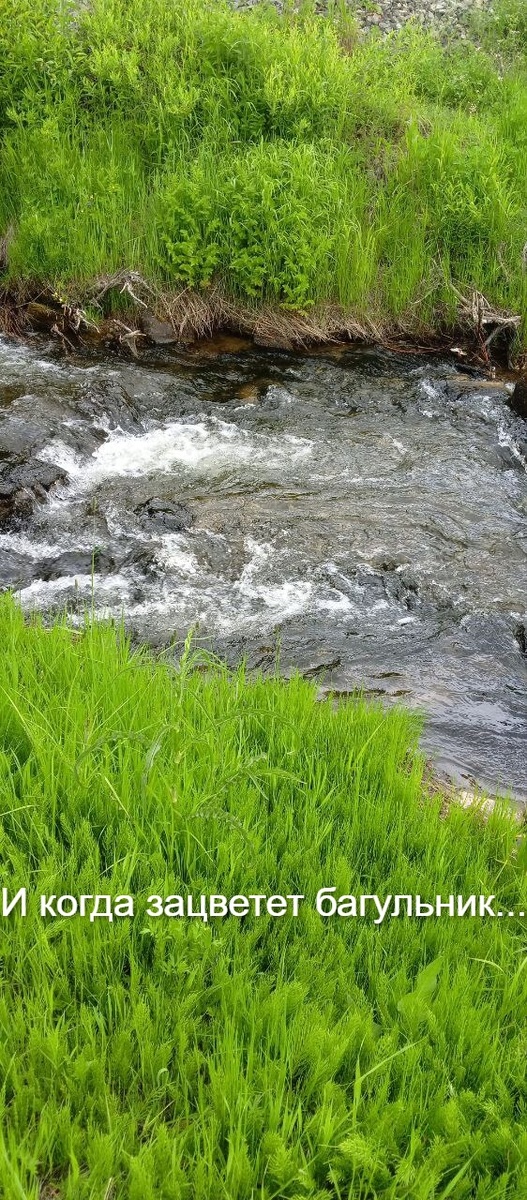 Фото автора.