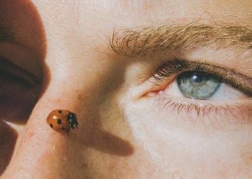 источник фото: интернет