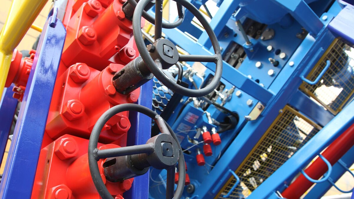    Фото: Maksim Konstantinov/globallookpress.com