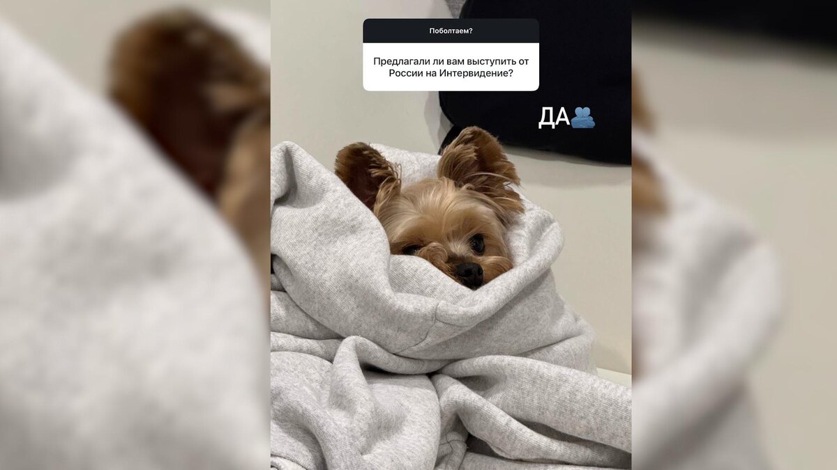 Фото: соцсети