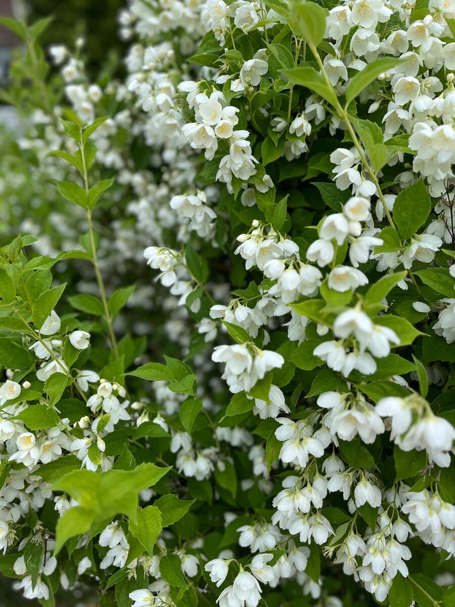 Фото автора канала 