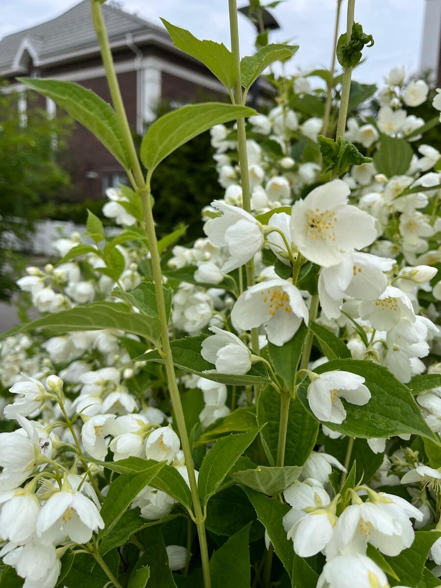 Автор канала