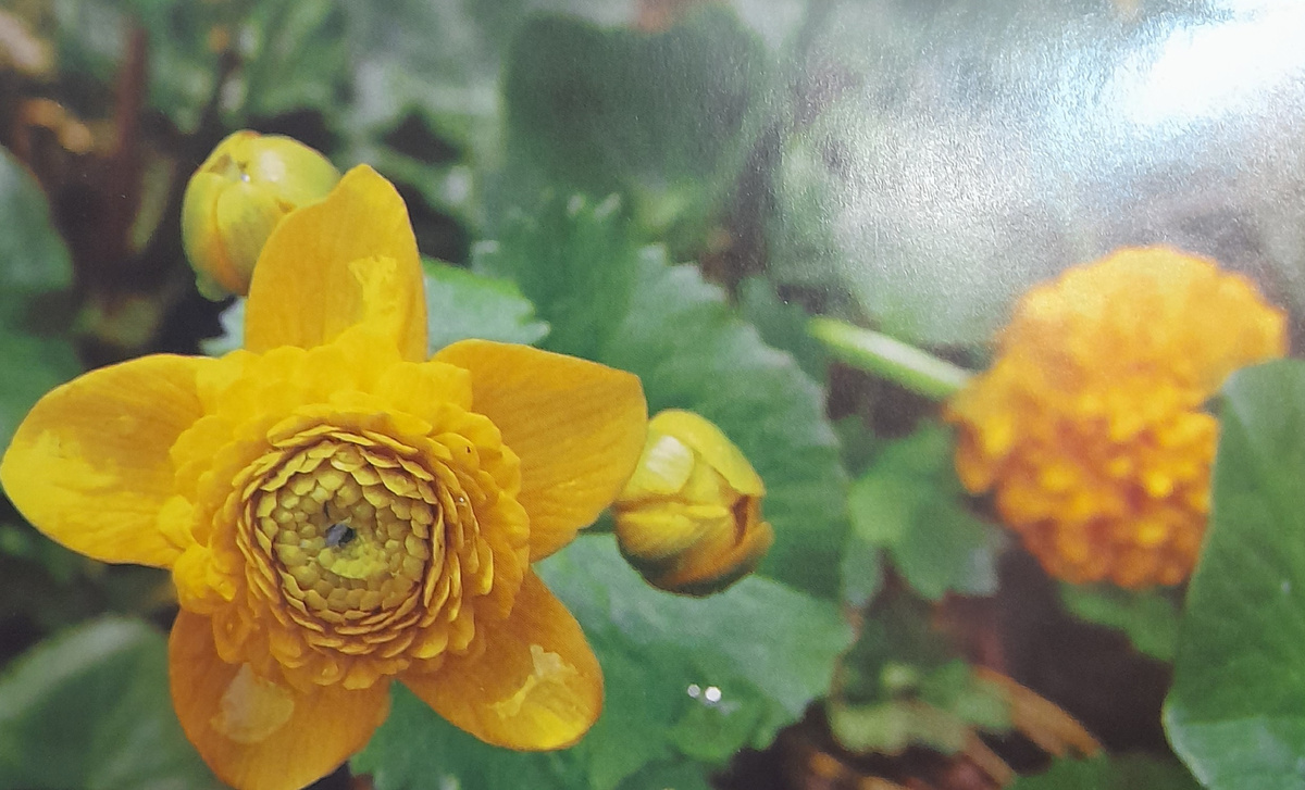 Фото автора канала