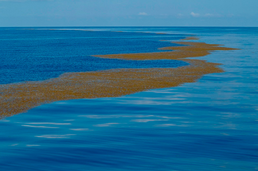 Встреча Моря с Океаном