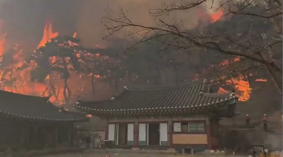 Пожары в Южной Корее. Из открытых источников