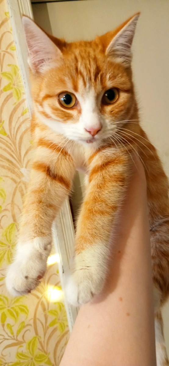 Первый вечер у меня)