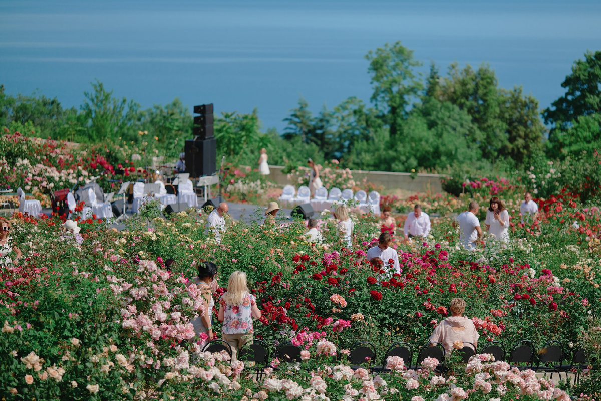 Розарий Никитского ботанического сада.