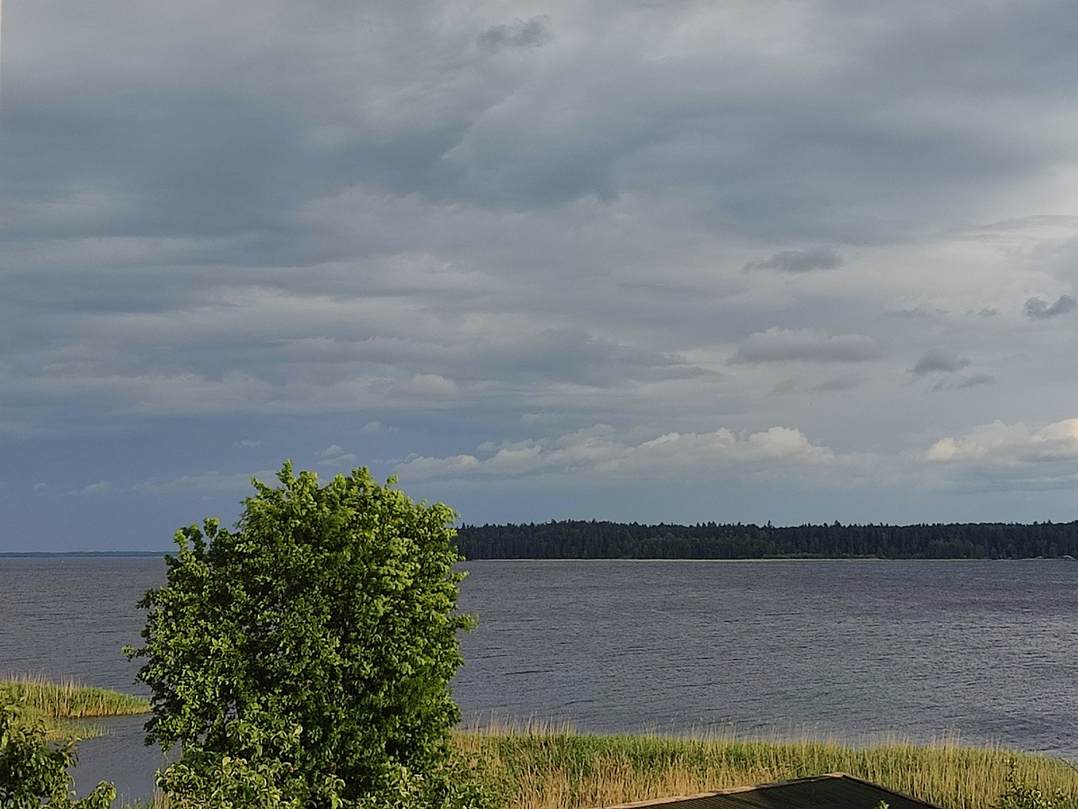 Погода на Селигере