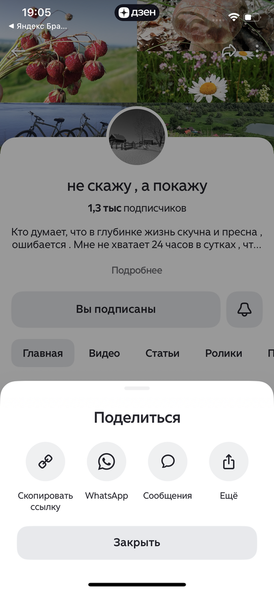 СКОПИРОВАЛА Ссылку