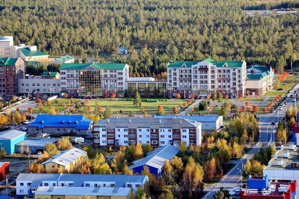 Яндекс картинки 