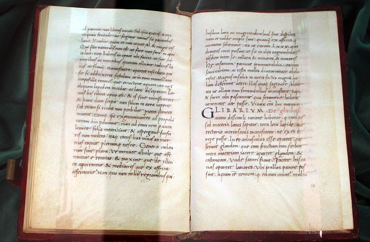 "Сельское хозяйство" Варрона в книге XV века. 