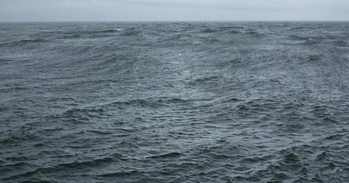    Céline купил билеты на персональную выставку Вольфганга Тильманса (фото 1)