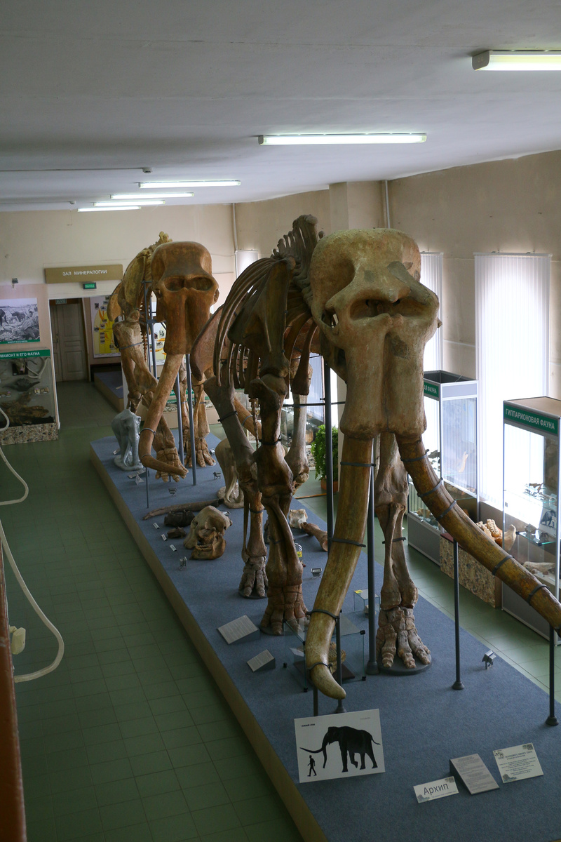 Архип и Нюся. Фото автора блога. Ставрополь, июнь 2025 г 