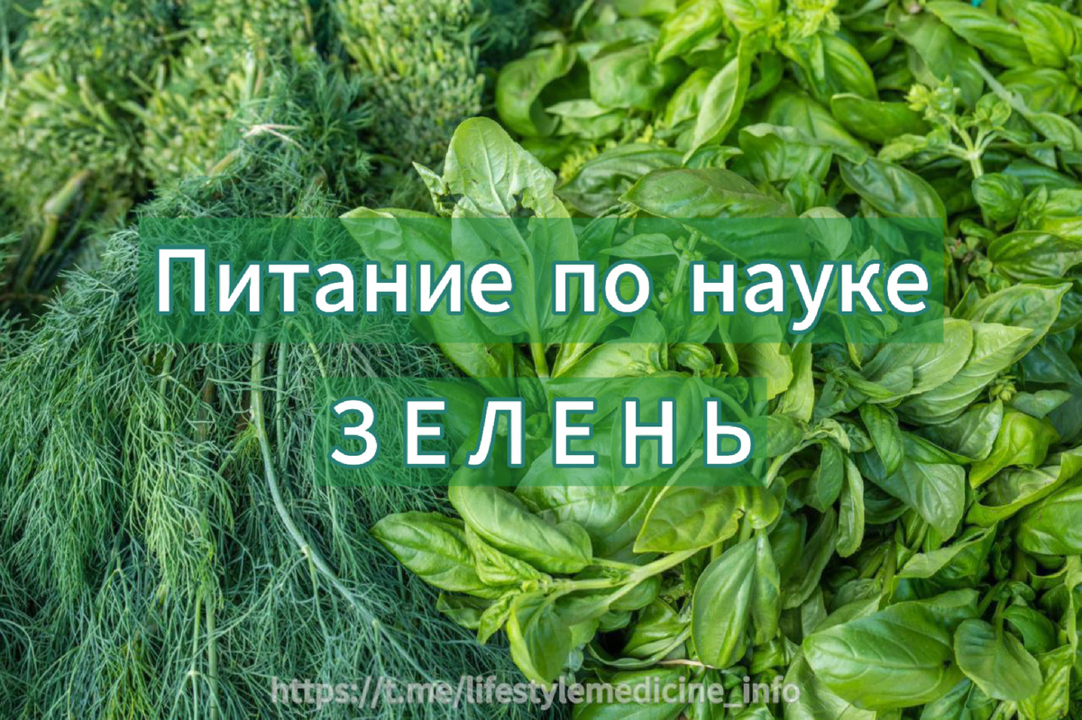 Зелень - ваш лучший друг!
