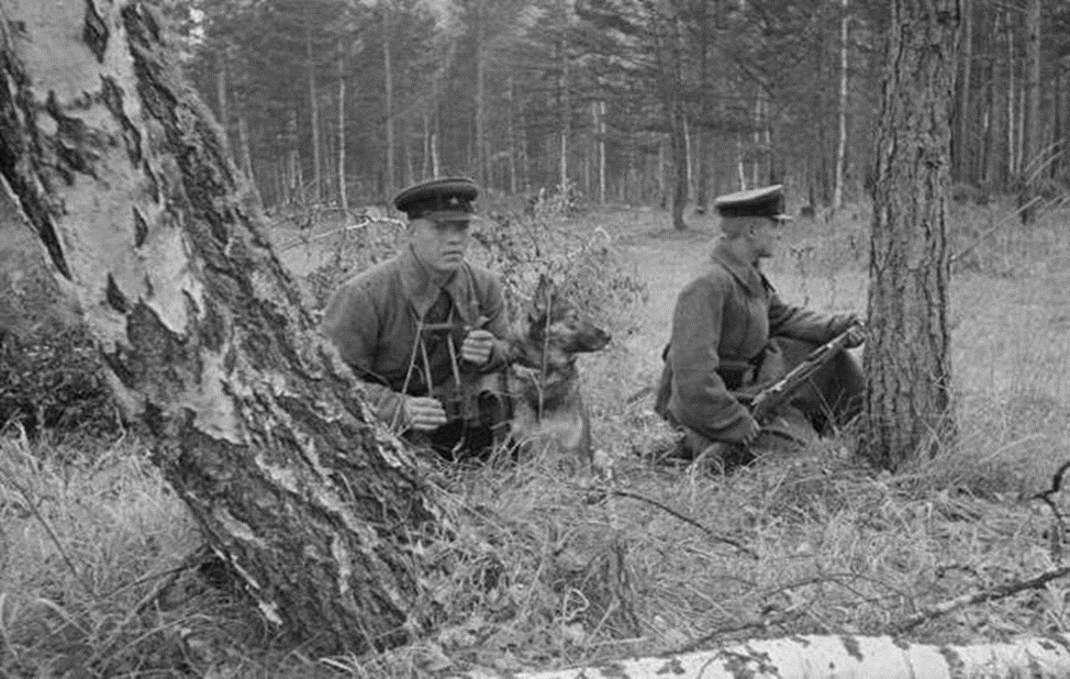 Пограничники занимались не только охраной границы, но и добывали рзведсведения. Из открытых источников