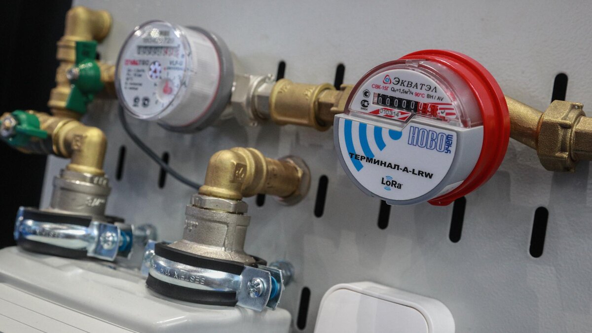    Фото:Bulkin Sergey/news.ru