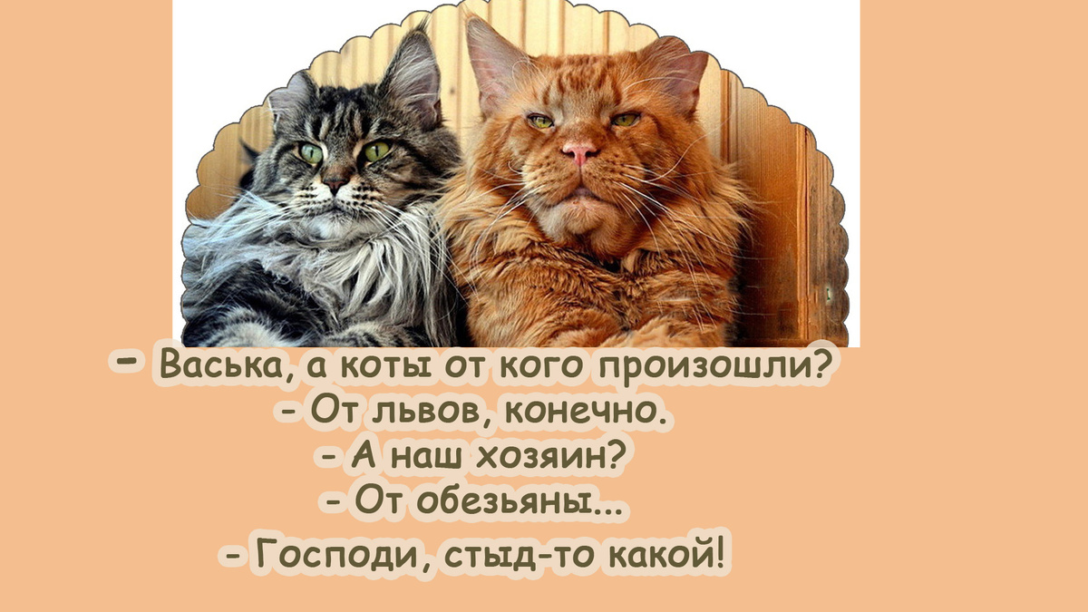-12