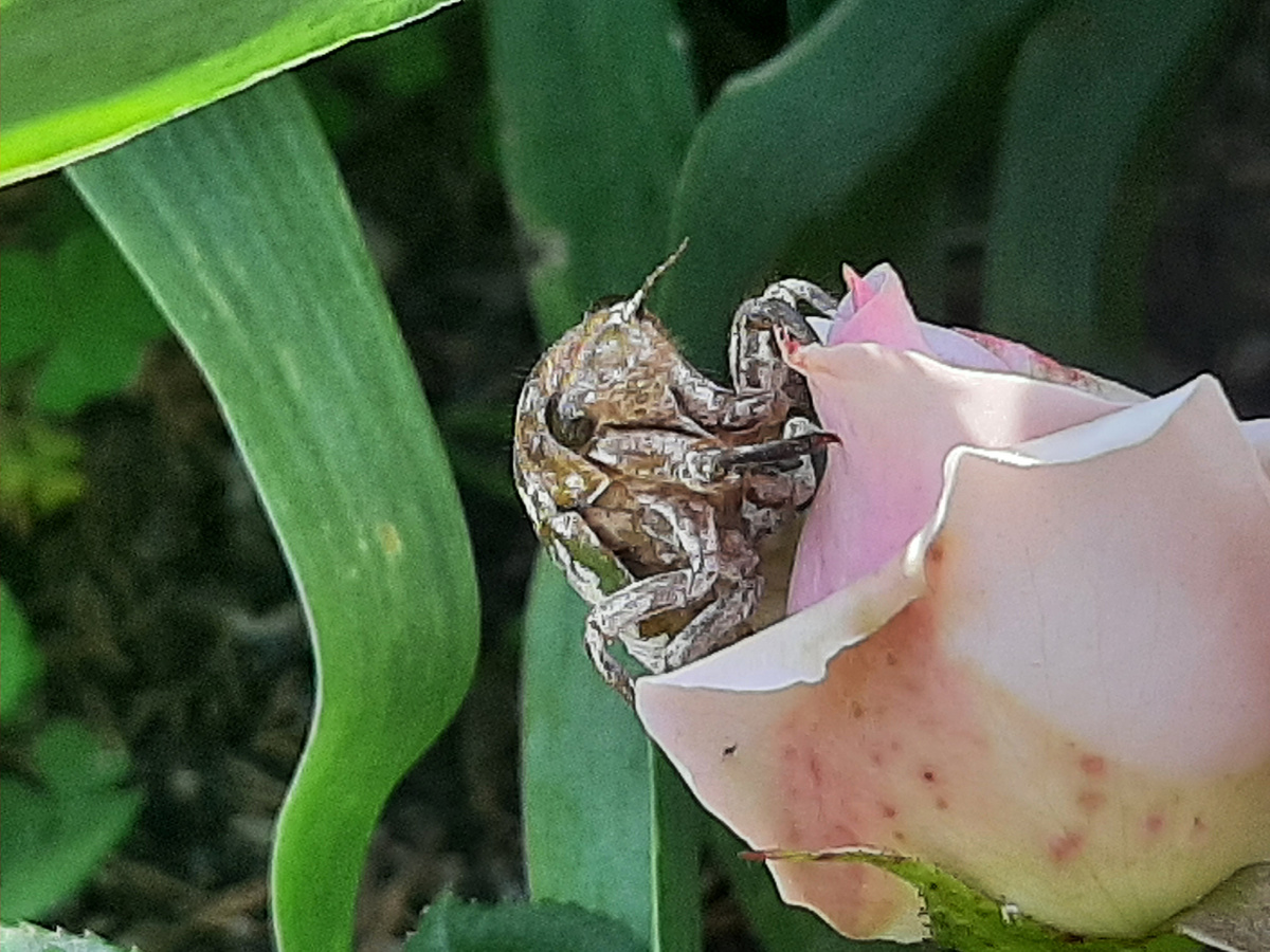 2 фото "красоты"