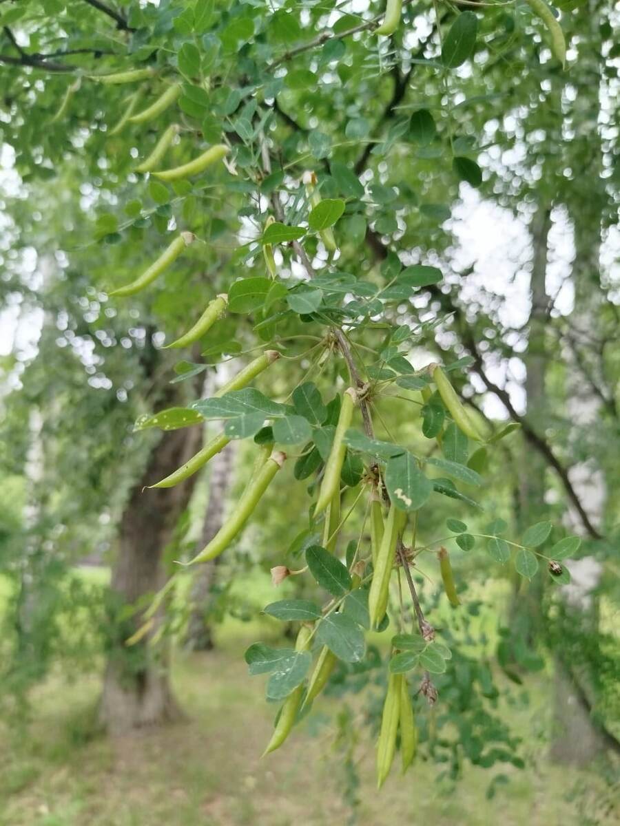 фото автора канала