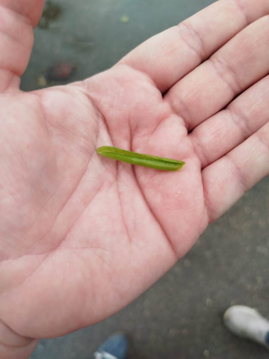 фото автора канала