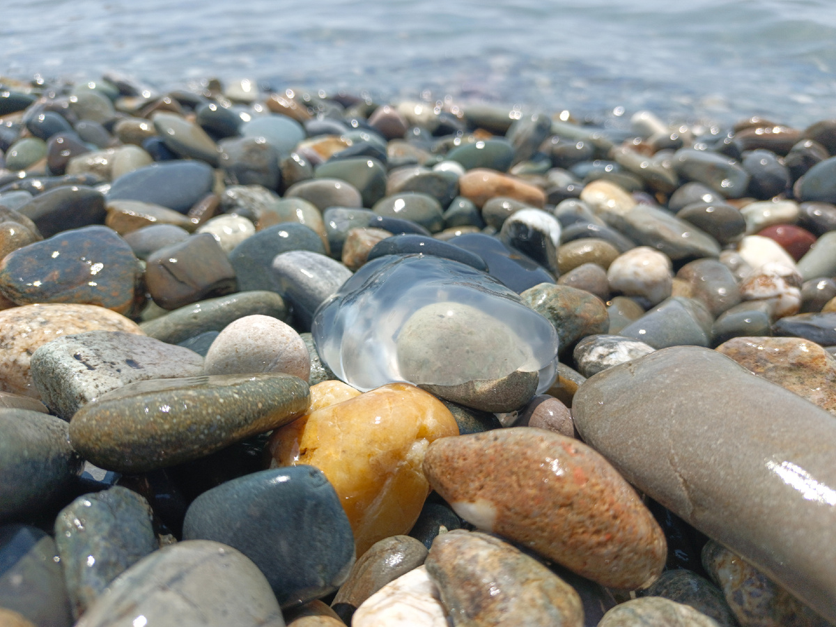 ФТ Сириус Имеретинская набережная, июнь 2025 г.