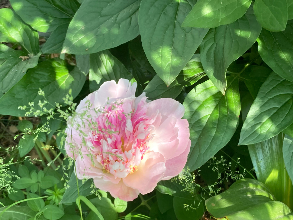 Ду телл, фото мое