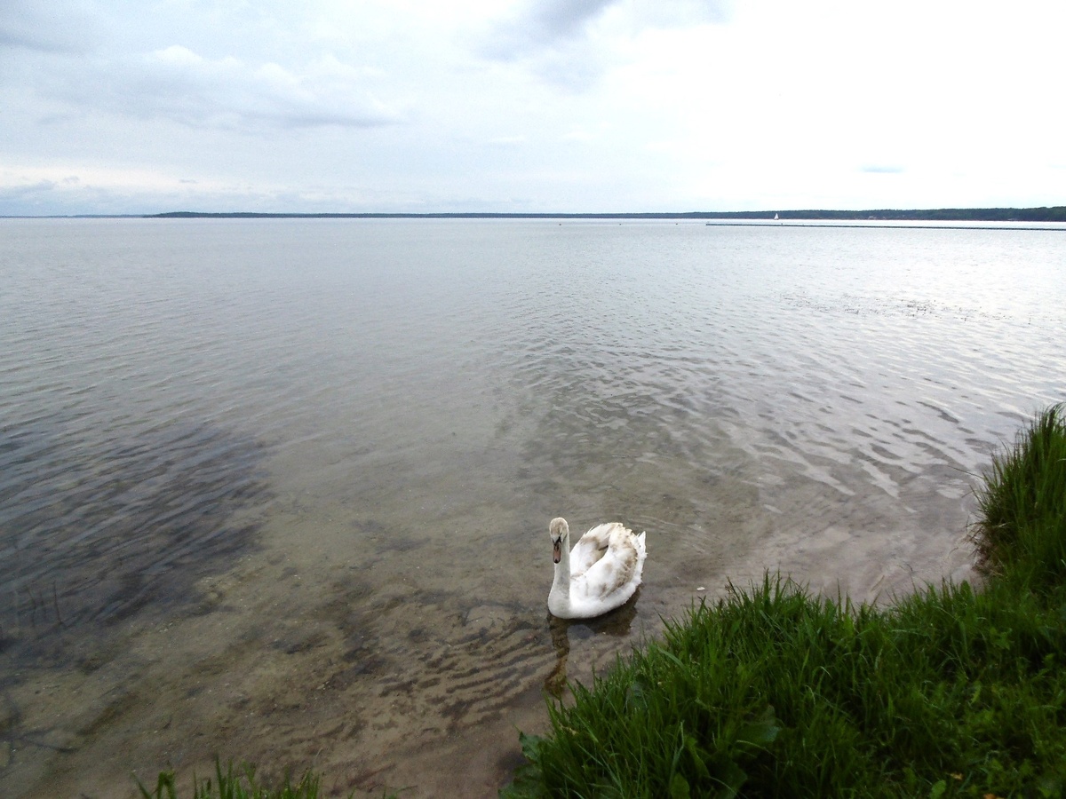 Озеро Нарочь. Фото автора