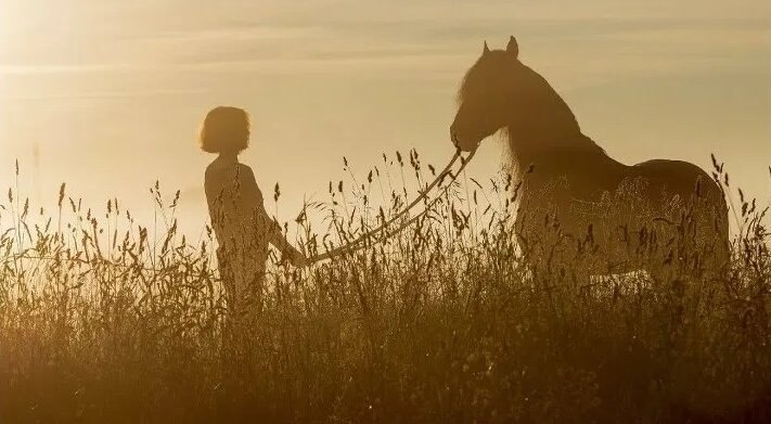 В иллюстративных целях (источник: https://stihi.ru/2022/08/07/4503)