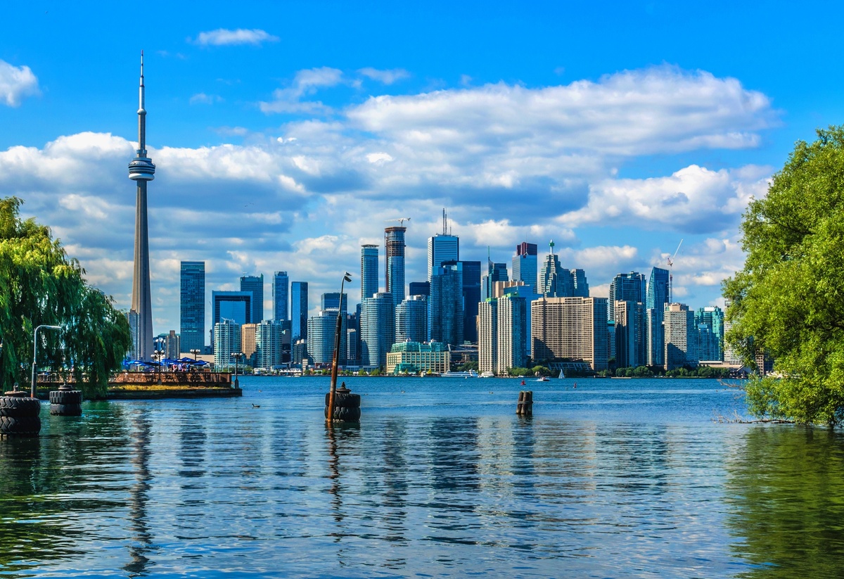 Из открытых источников в интернете. Канада.Торонто.