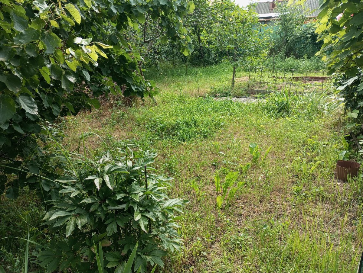 Вид от дома