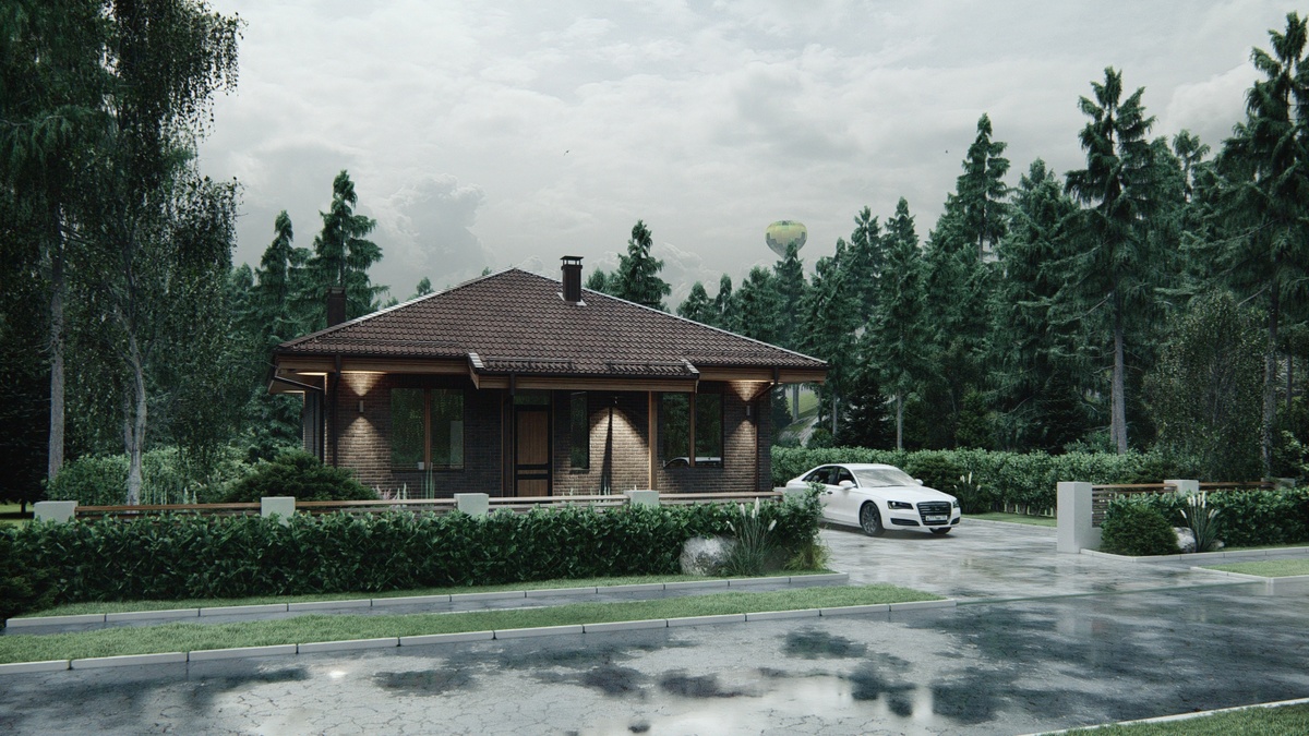 Визуализация Вид 1