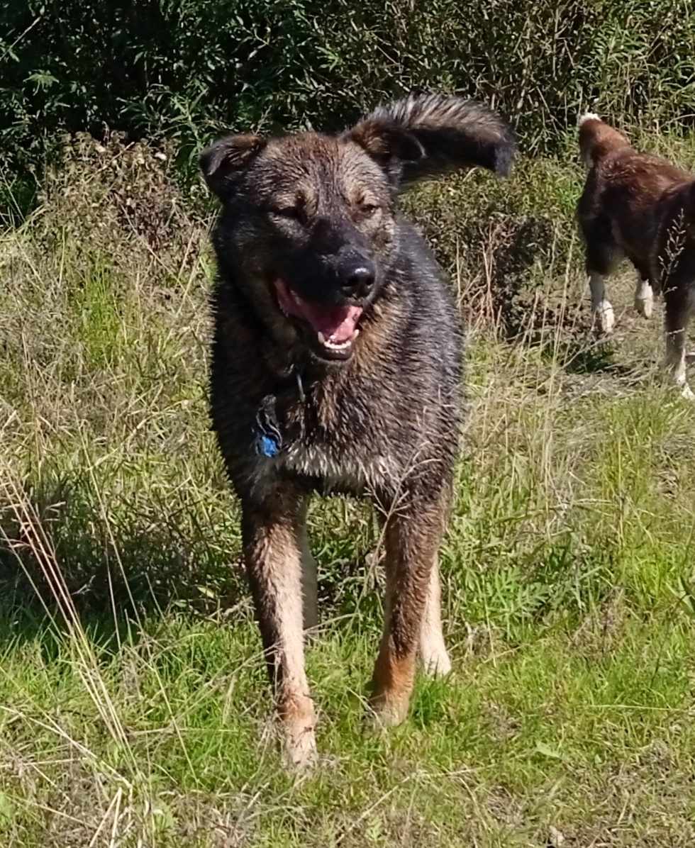 Цезарь душа компании