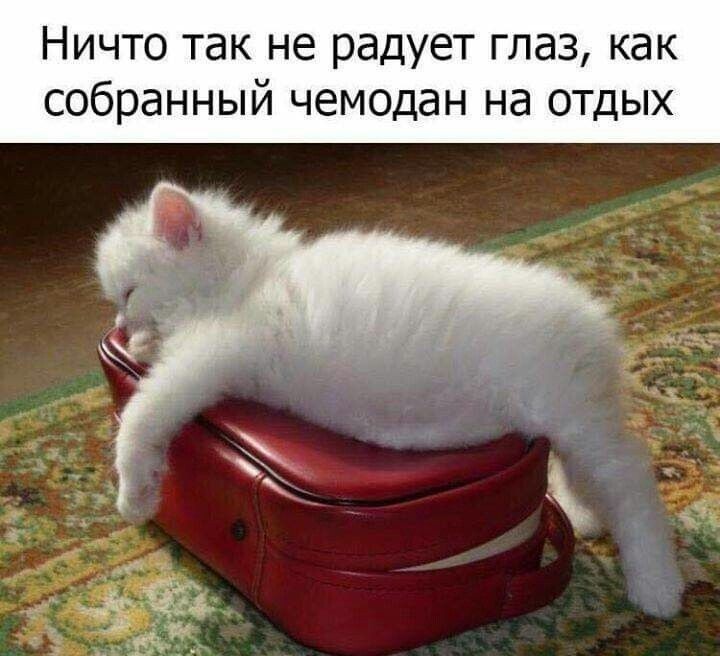 картинка из интернета