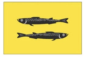 Флаг Переялсавля - Залесского