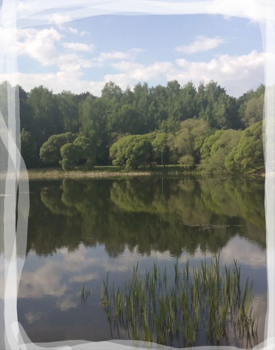 Фотоколлаж - собственность автора канала.