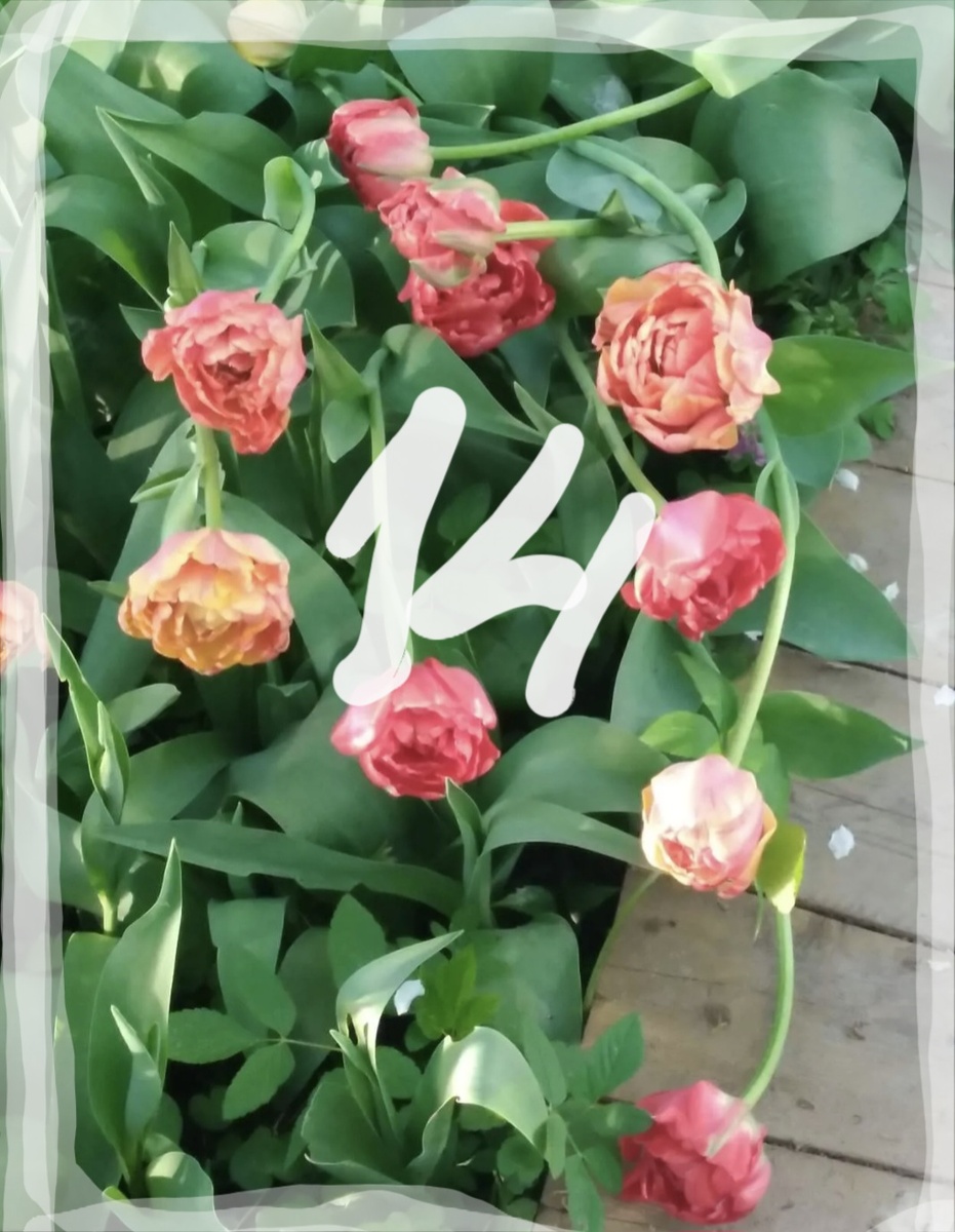 Фотоколлаж - собственность автора канала.