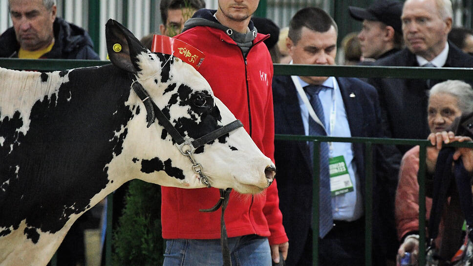 Фото: Игорь Иванко / Коммерсантъ