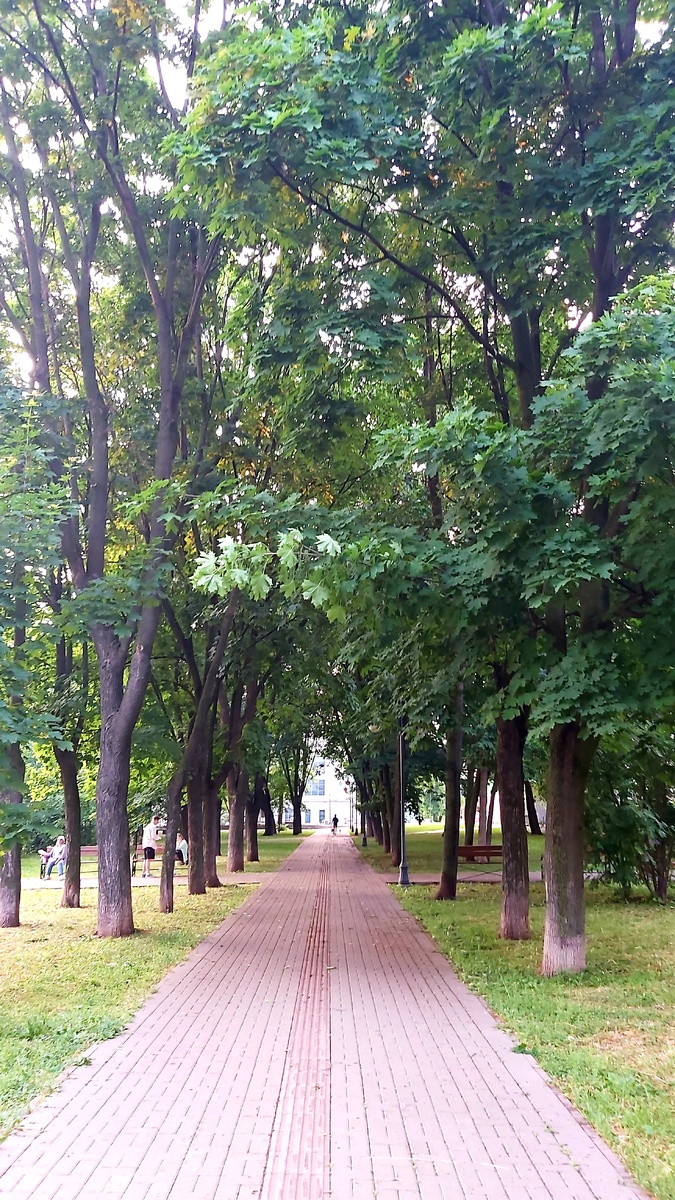Как у Бунина, темные аллеи. Но и тут жара...