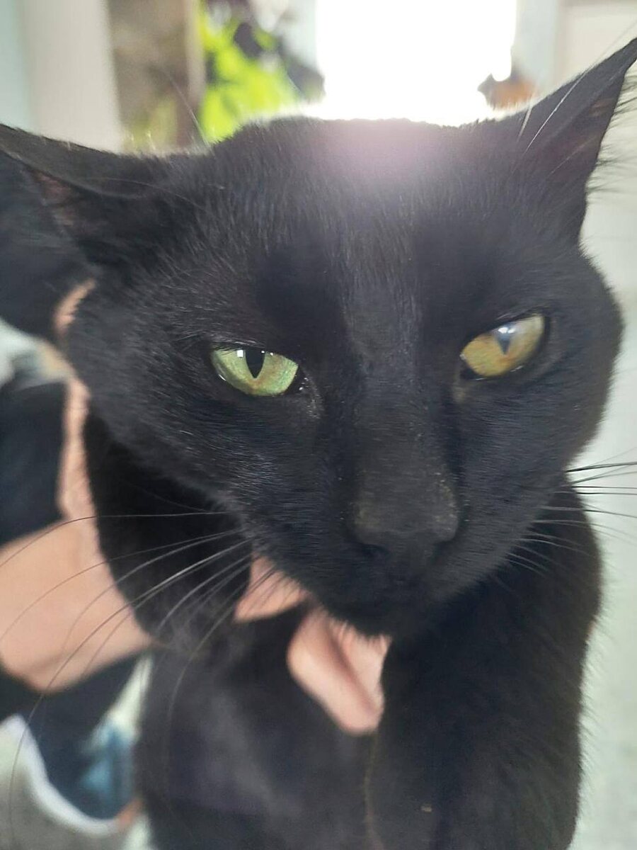 Источник фото ТГ