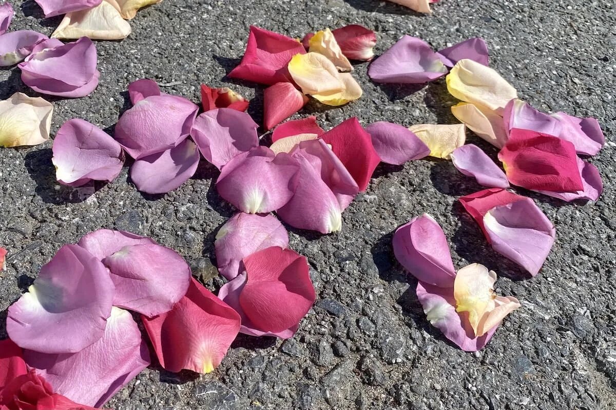 Фото: UfacityNews.ru