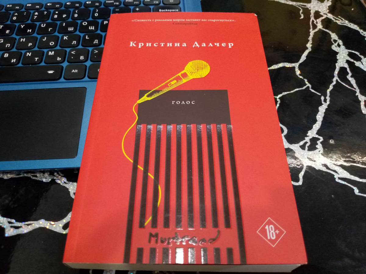 Зачем микрофон на обложке - лично мне совсем непонятно, про пение не сказано ни слова. Из предметов в книге довольно ярко изображен браслет - устройство, которое бьет током при нарушении правила "100 слов в день".