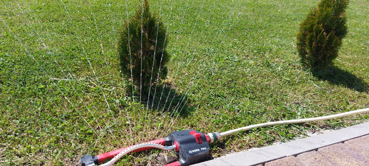 Дождеватель