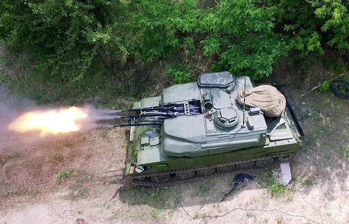 Пушечная Шилка./ Фото: dzen.ru