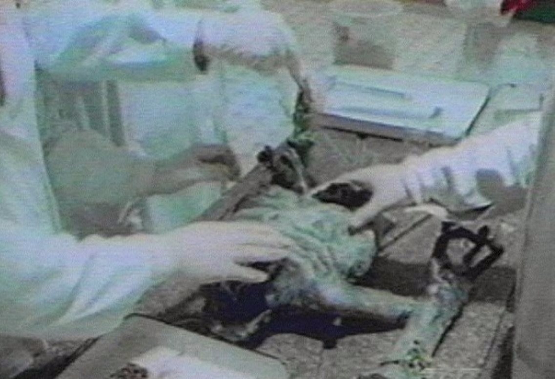 Это не был человек. (Фото: 1.bp.blogspot.com).