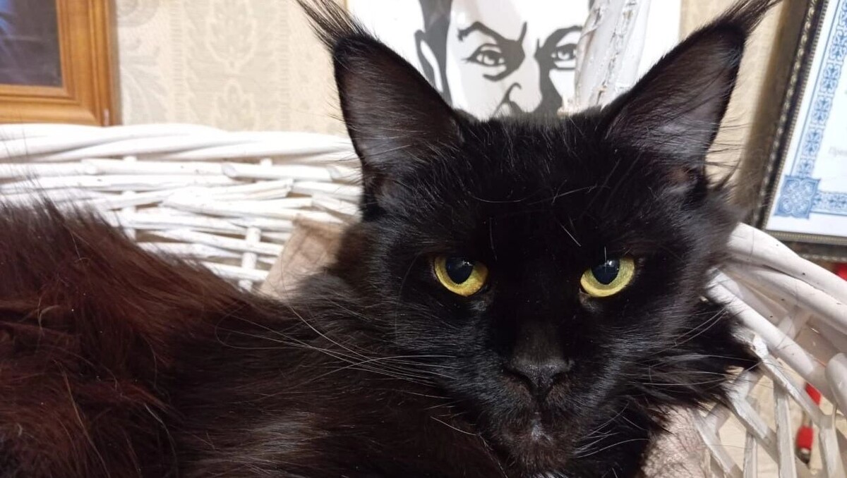     Источник: transsibinfo.com