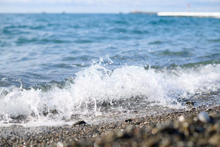 Черное море начинает прогреваться