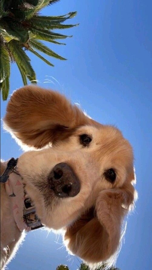 Открытые источники 