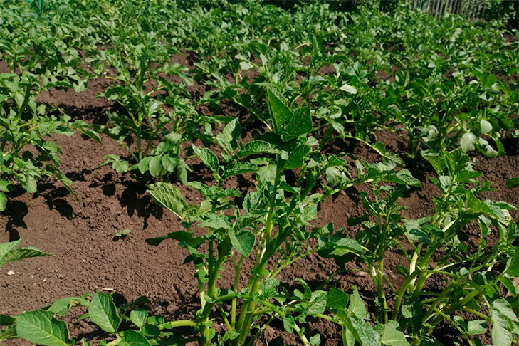 © Фото VN.ru.📷
