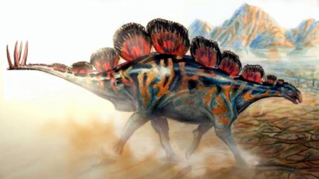 Почти все найденные желудки принадлежат тиреофорам — стегозаврам и анкилозаврам.